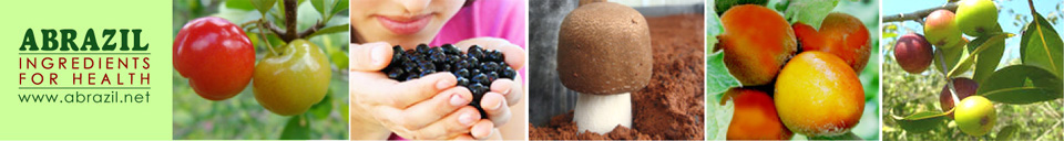 ABrazil fruits banner